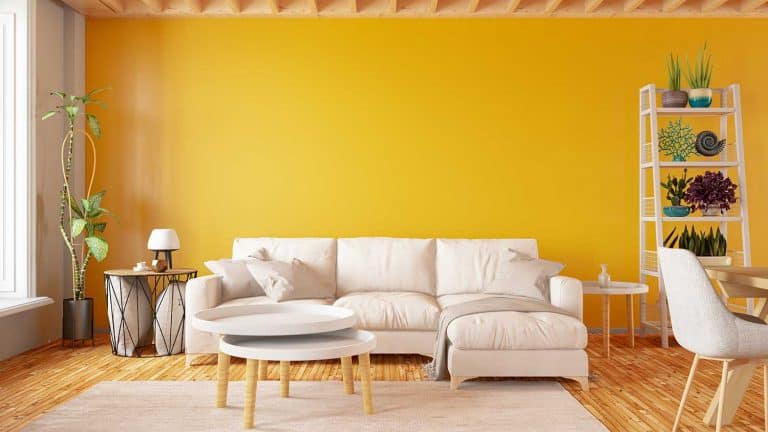 What Color Furniture Goes With Yellow Walls?