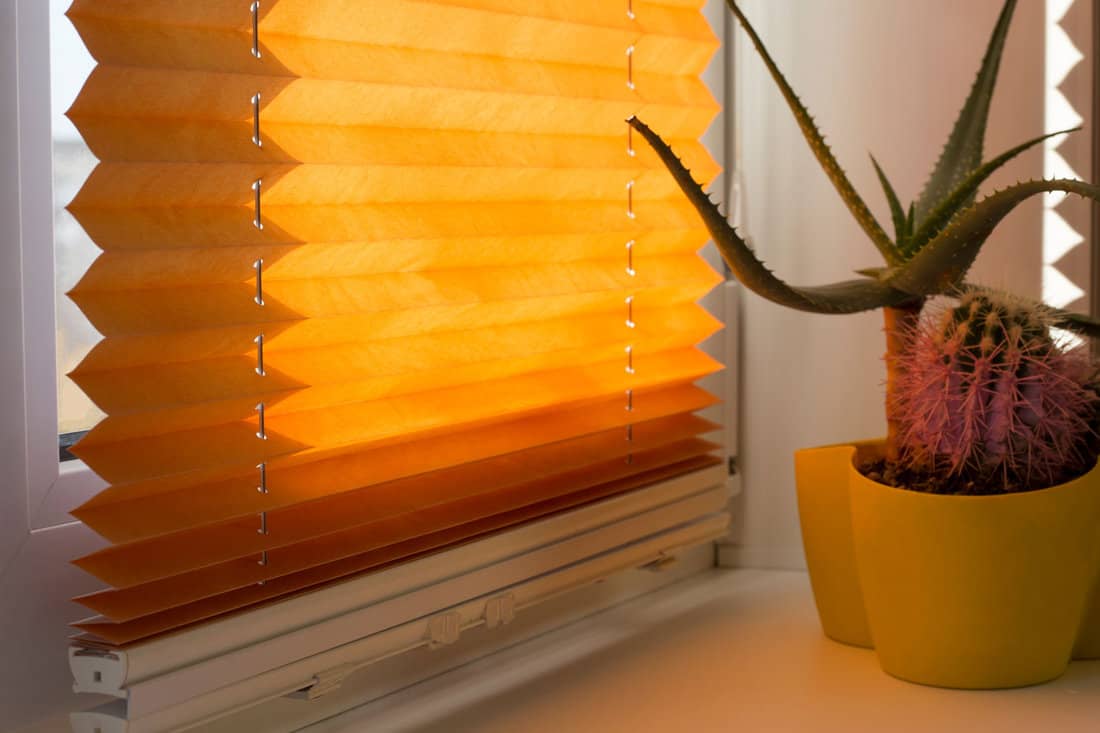 Pleated blinds with orange folded fabric on the window close up. On the windowsill stands home plant in yellow flower pot. Cordless pleated shade with white lower bar. 