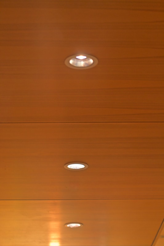 Wooden paneled ceiling with recessed lights