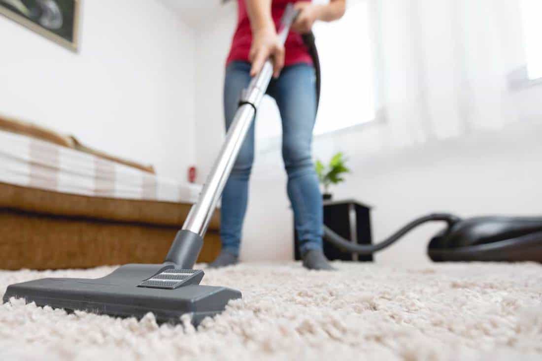 Young woman using vacuum cleaner to clean the house, How Much Does It Cost To Rent A Carpet Cleaner? [Breakdown By Type And Store]