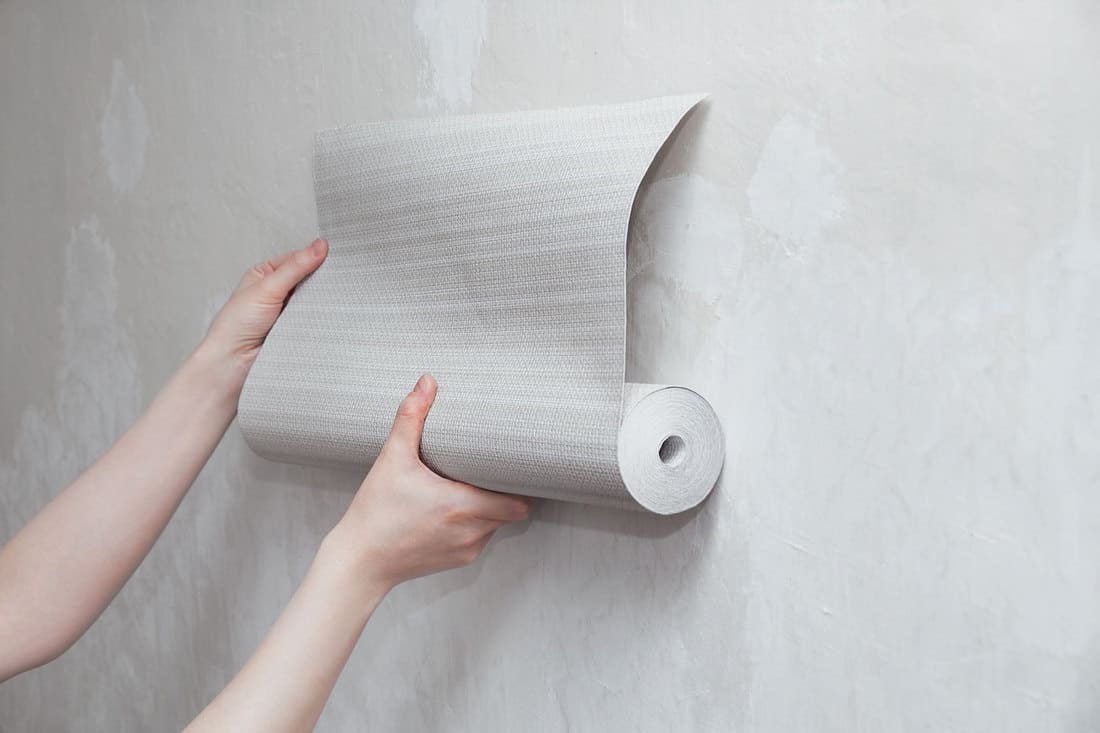 A roll of gray wallpaper in the hands of a Caucasian woman. Attaches wallpaper to the wall.