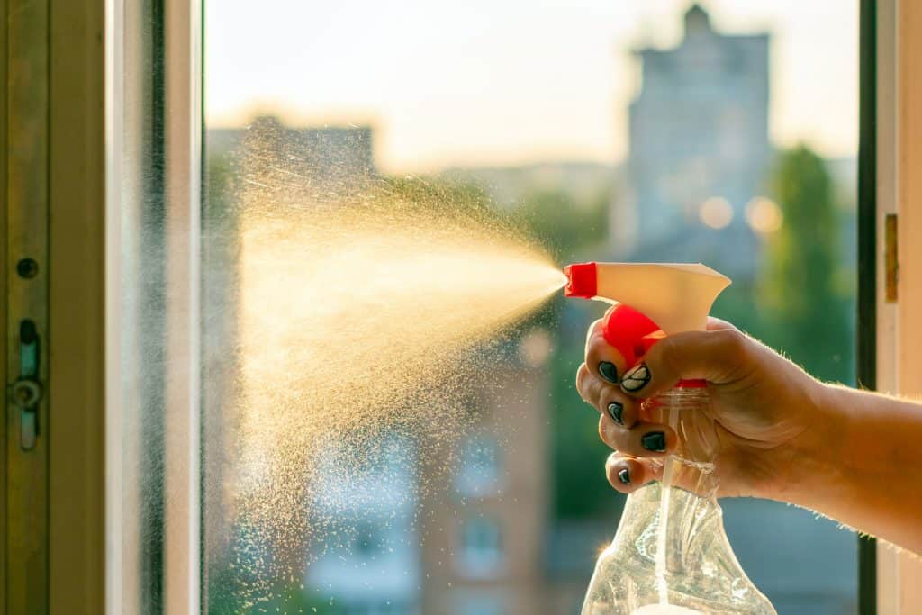 A woman spraying window solution to clean it