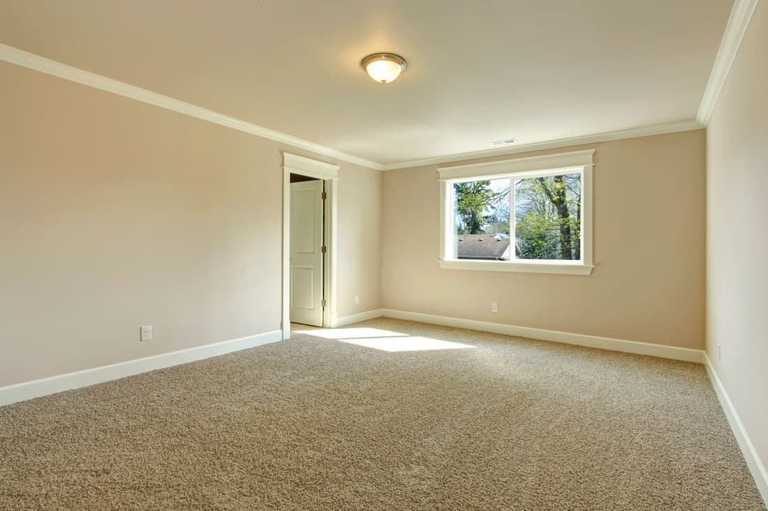 Bright empty room with one window, beige carpet floor and ivory walls, Gap Between Carpet And Baseboard - What To Do?
