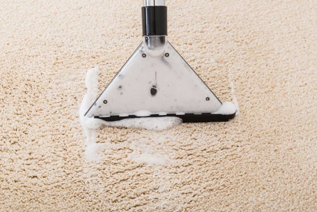 Cleaning a carpet using a vacuum cleaner