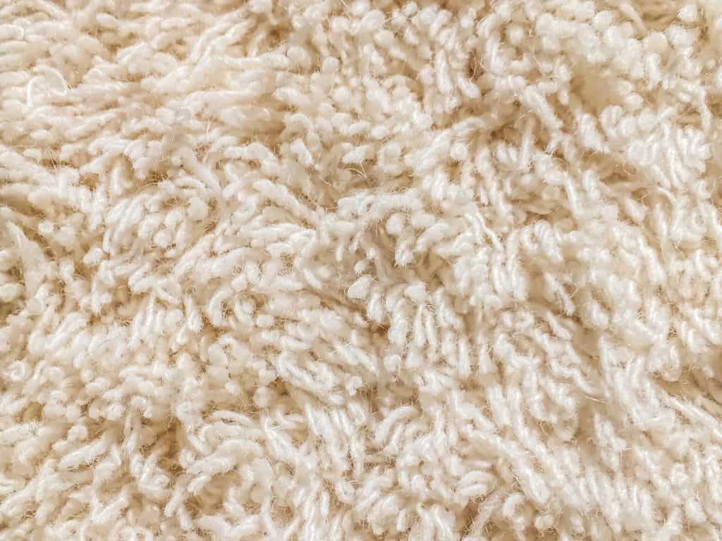 Close up cut pile carpet in cream color