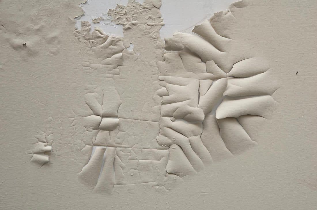 Close up of peeled paint on humid wall
