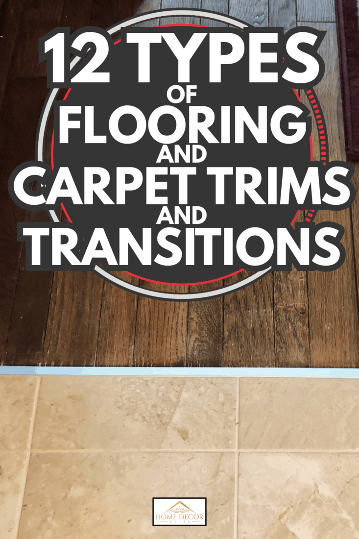 Closeup of interior design flooring and transition between tile hardwood and area rug. 12 Types Of Flooring And Carpet Trims And Transitions