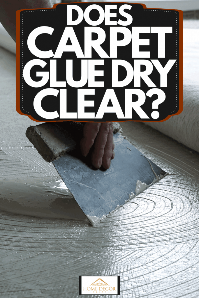 A man putting carpet glue on the concrete floor before installing carpet, Does Carpet Glue Dry Clear?