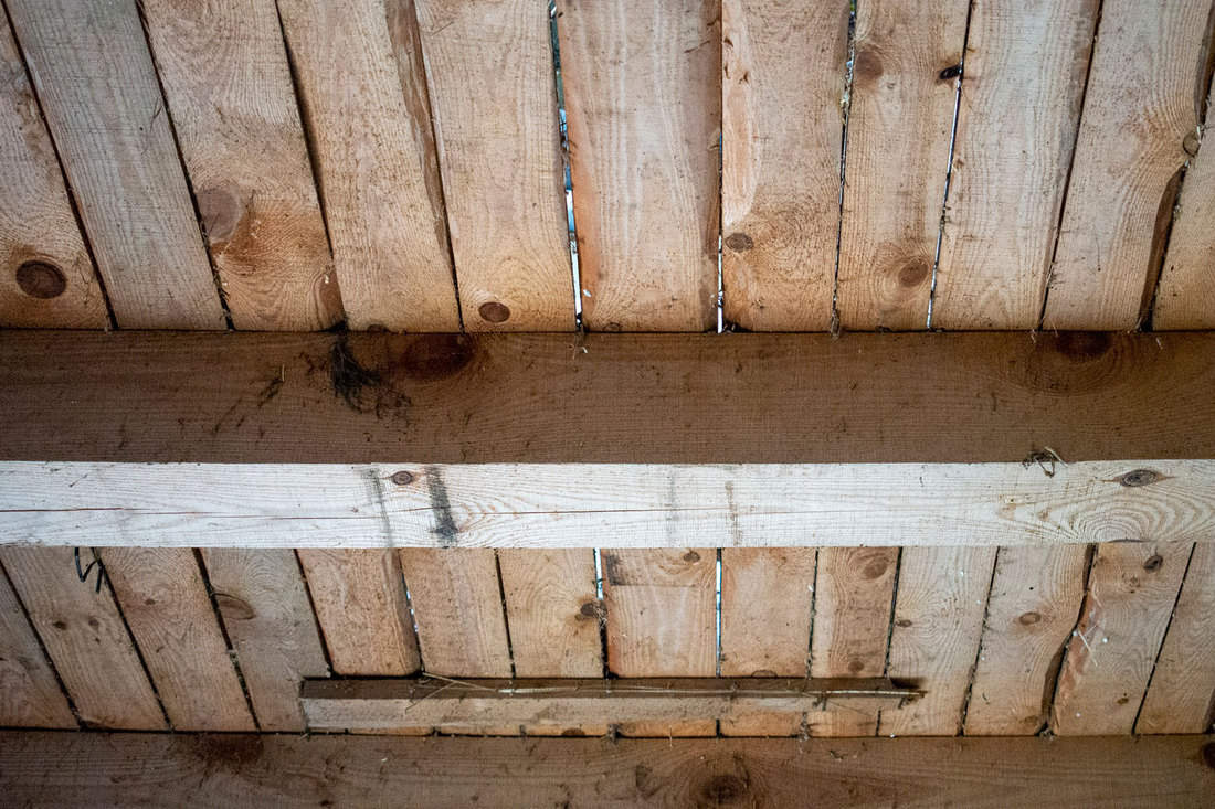 Grunge rough wooden ceiling in a perspective view with colorful stains of fungus and moist and jars in wood