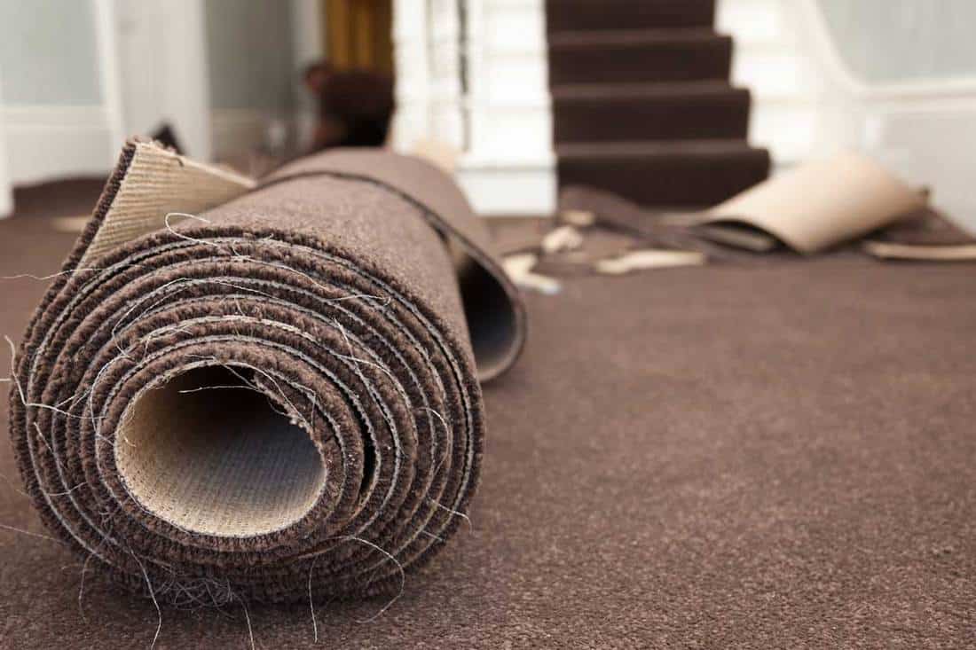 Home carpet installation of a new house, Does Carpet Installation Include Removal Of Old Carpet?