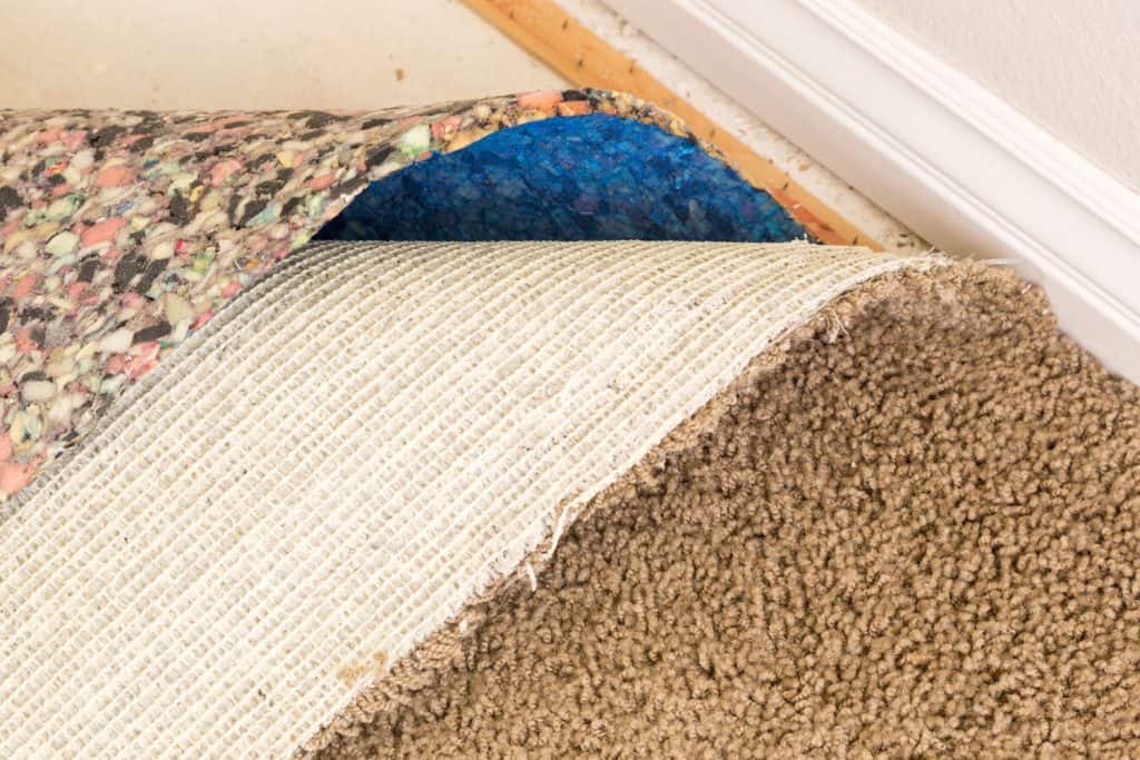 Installing a carpet padding and carpet in the living room