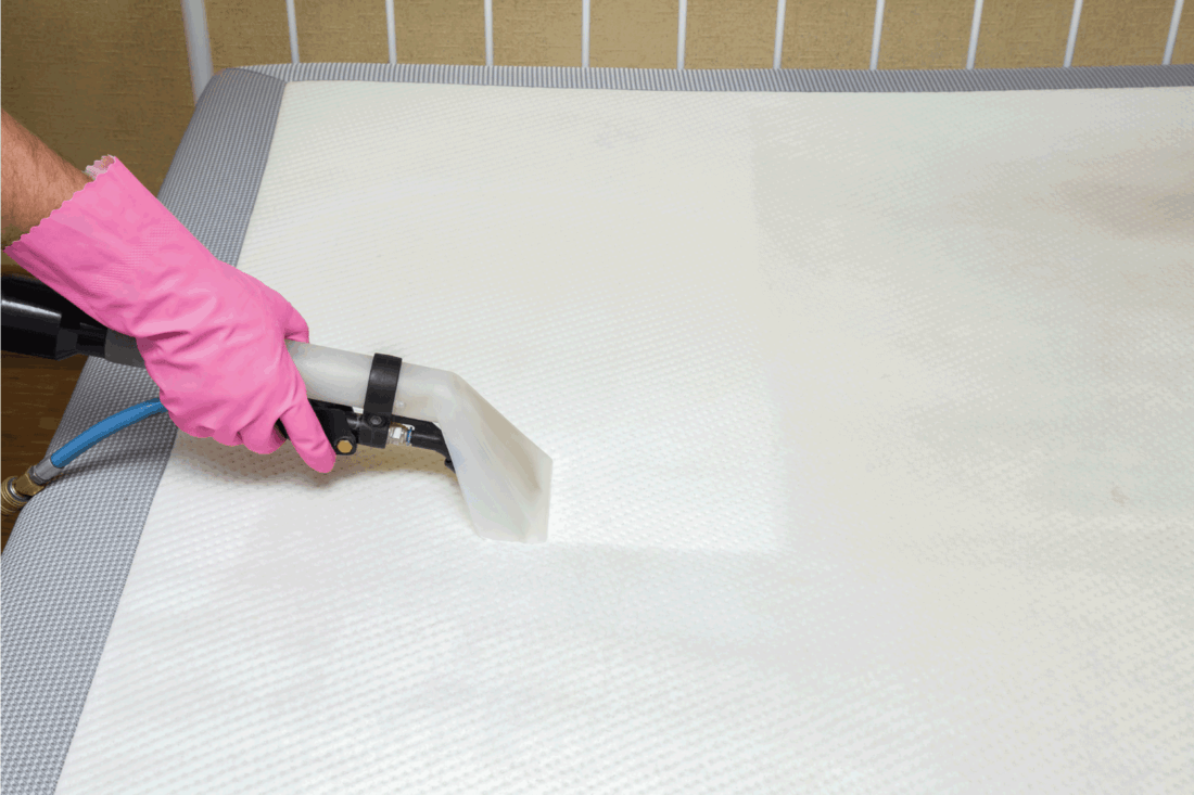 Mattress or bed chemical cleaning with professionally extraction method. Hand in rubber protective glove holding nozzle of extractor.