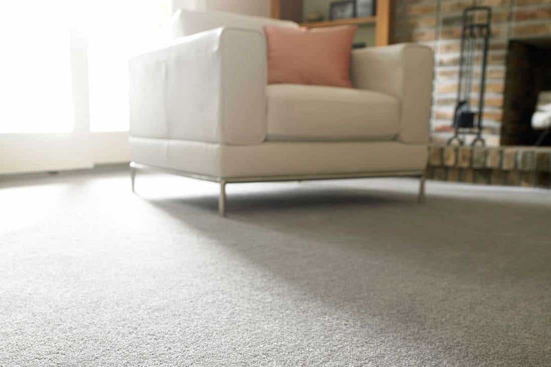 How Long Does It Take For New Carpet To Settle? - Home Decor Bliss