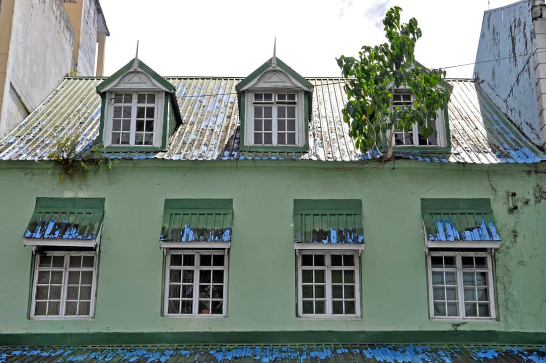Old local green house in the city with a tree growing on the roof