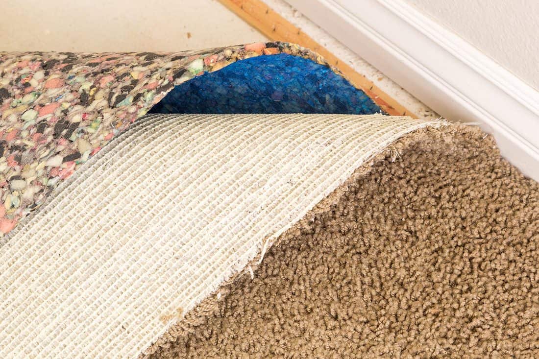 Pulled back carpet and padding in room