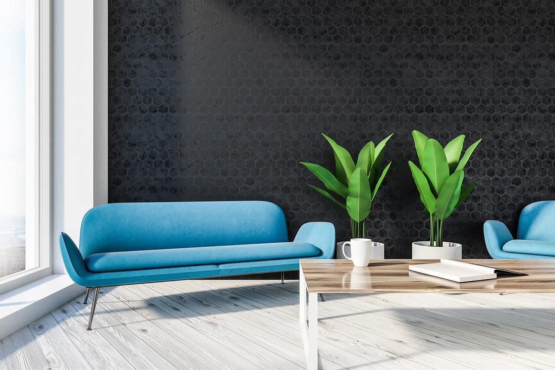 Stylish office lounge interior with black honeycomb pattern walls