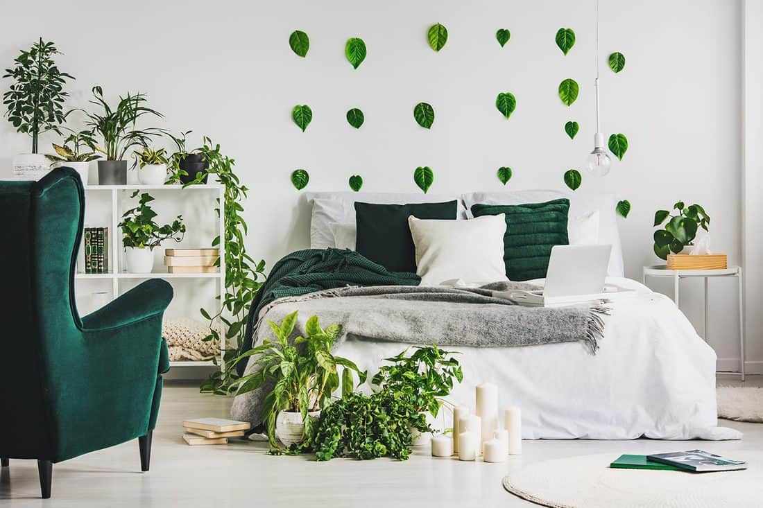 Urban jungle in cozy emerald green and white bedroom interior with king size bed