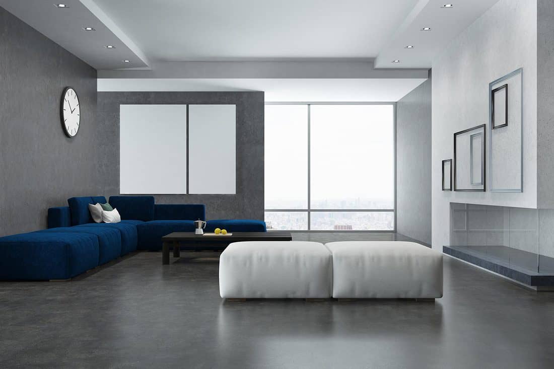 White and gray living room interior with blue couch