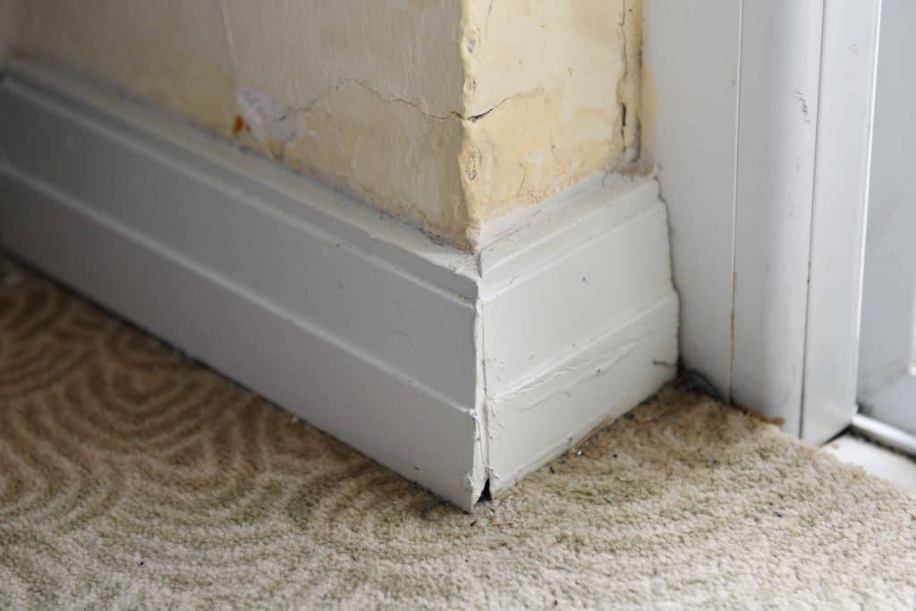 White baseboard and a carpet flooring