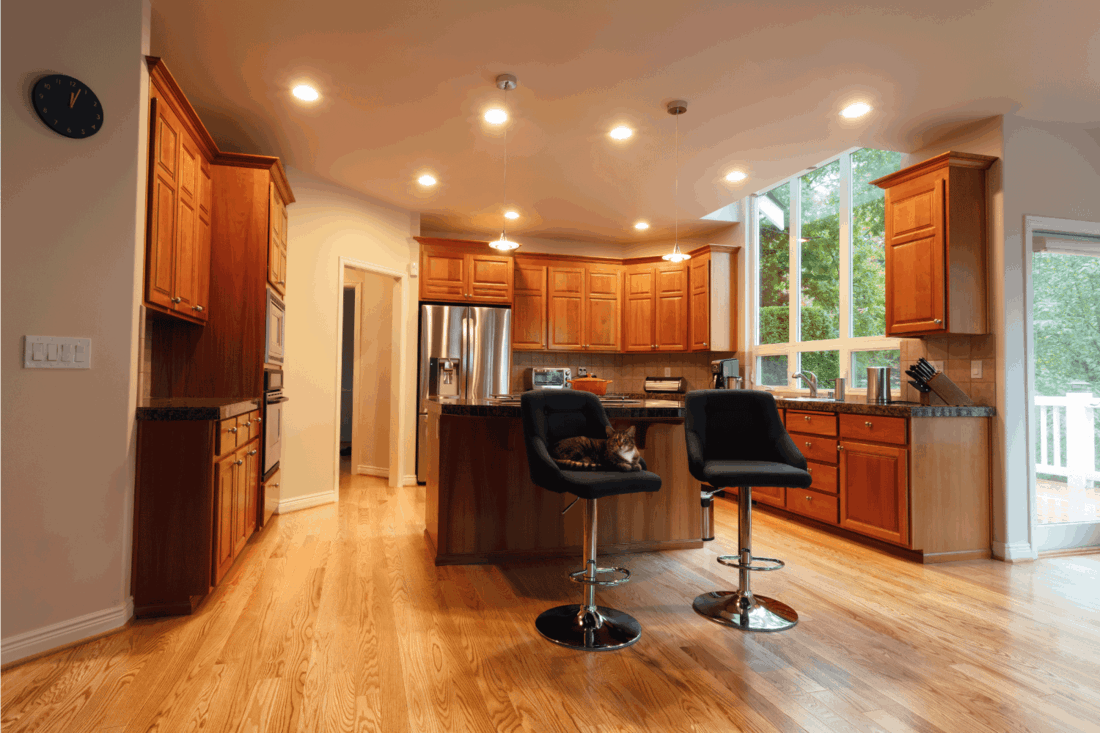 home kitchen with cherry wood cabinets and cat on the stool