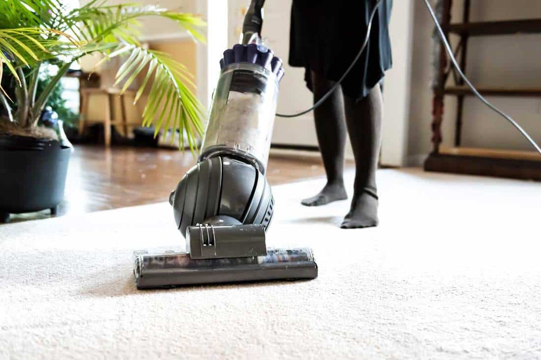 Cleaning at home with vacuum cleaner, Dyson Ball Vacuum Has No Suction - What To Do?