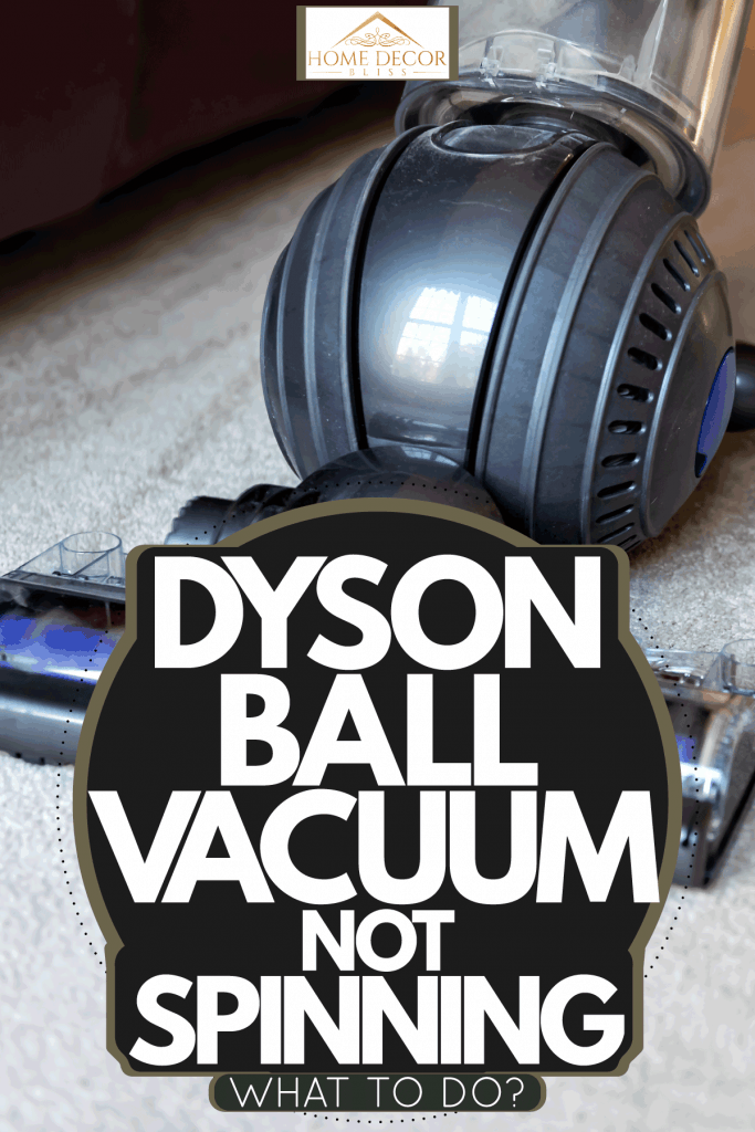 A woman using a ball vacuum cleaner to clean her carpet, Dyson Ball Vacuum Not Spinning - What To Do?
