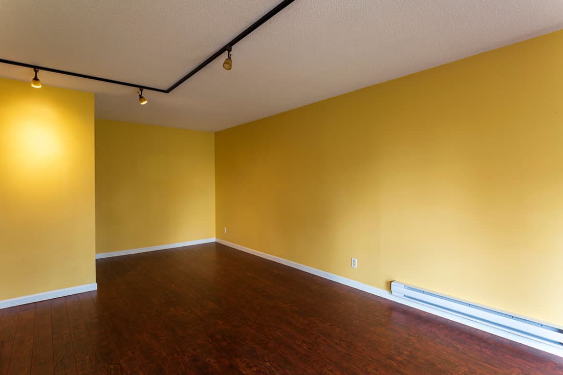 Empty living room with yellow wall and white baseboard
