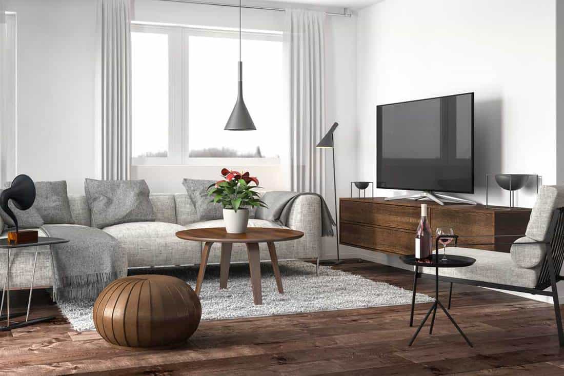 Modern living room interior with white walls and hardwood floor, What Color Walls Go With Brown Floor?