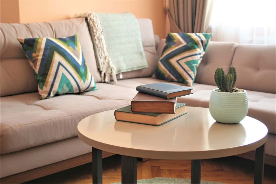 cozy home armchair and sofa decor and a coffee table, How Much Weight Can A Coffee Table Hold?