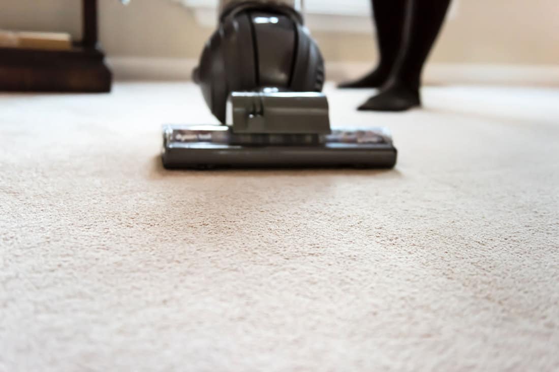 A woman using a Dyson ball vacuum cleaner on her carpet, How Much Does A Dyson Ball Vacuum Weigh?