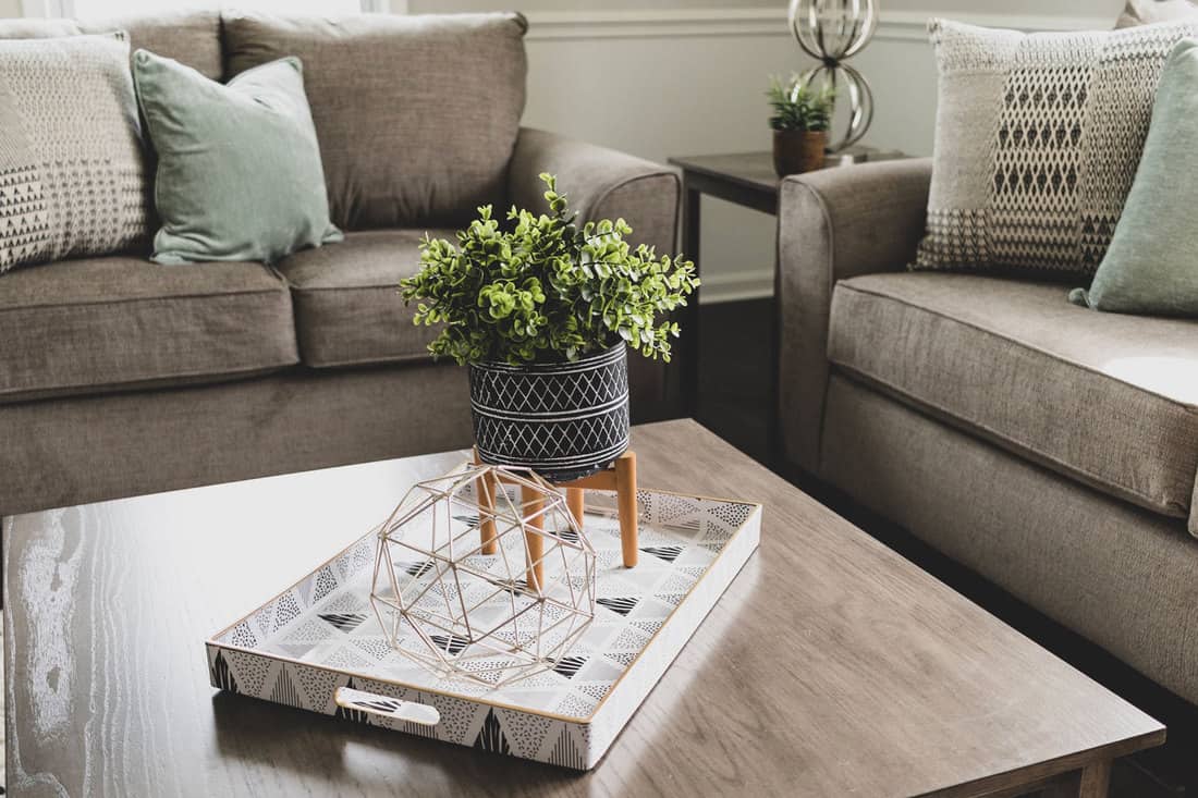 Home decor on coffee table in living room