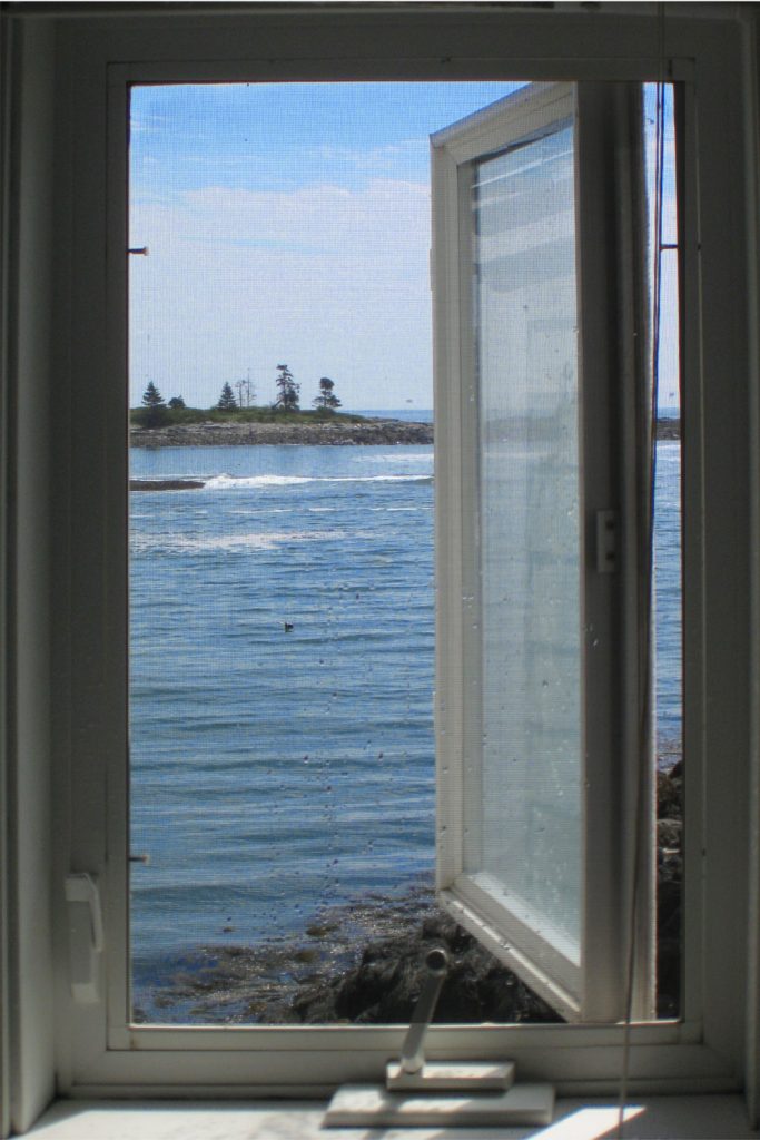 A screened window with white casement