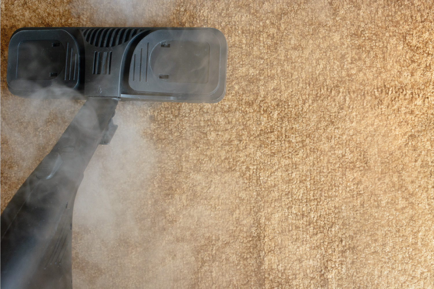 Equipment for carpet steam cleaning