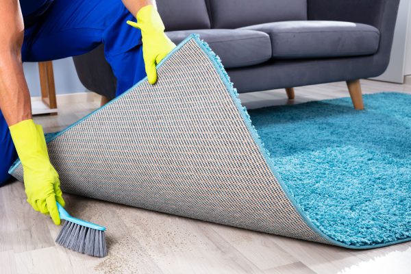 Read more about the article What’s Under My Carpet? Here’s How To Tell