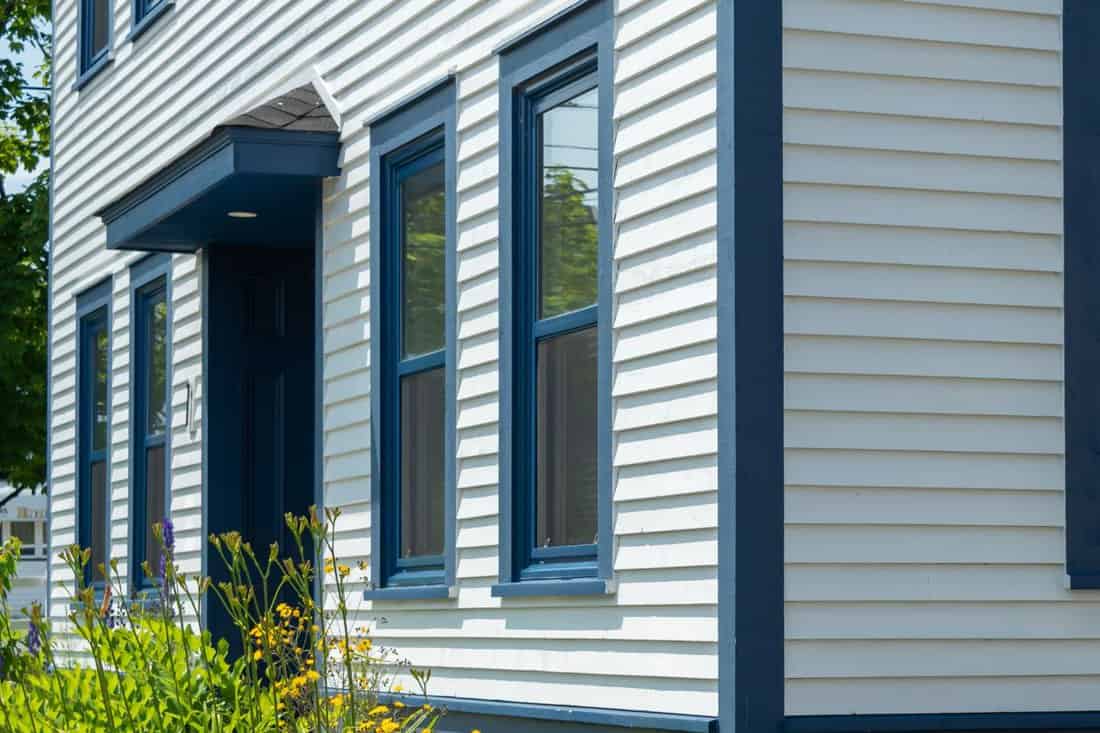 The exterior of a stark white cape cod clapboard horizontal wooden board siding wall with multiple blue trim double hung windows. There are vibrant green flowers in front of the vintage windows