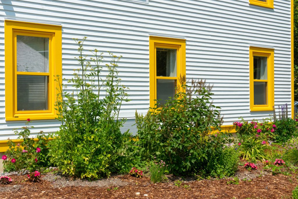 Yellow painted casement windows with a white wooden siding