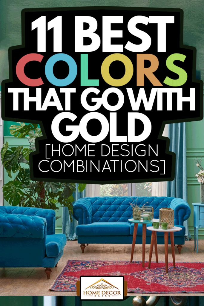 Green living room, corner, blue furniture sofa and classic wall concept, carpet vase of plant and coffee table, 11 Best Colors That Go With Gold [Home Design Combinations]