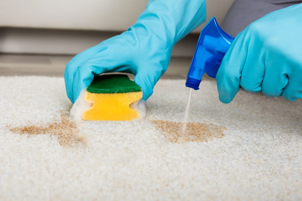 Cleaner using a strong detergent in cleaning the living room carpet