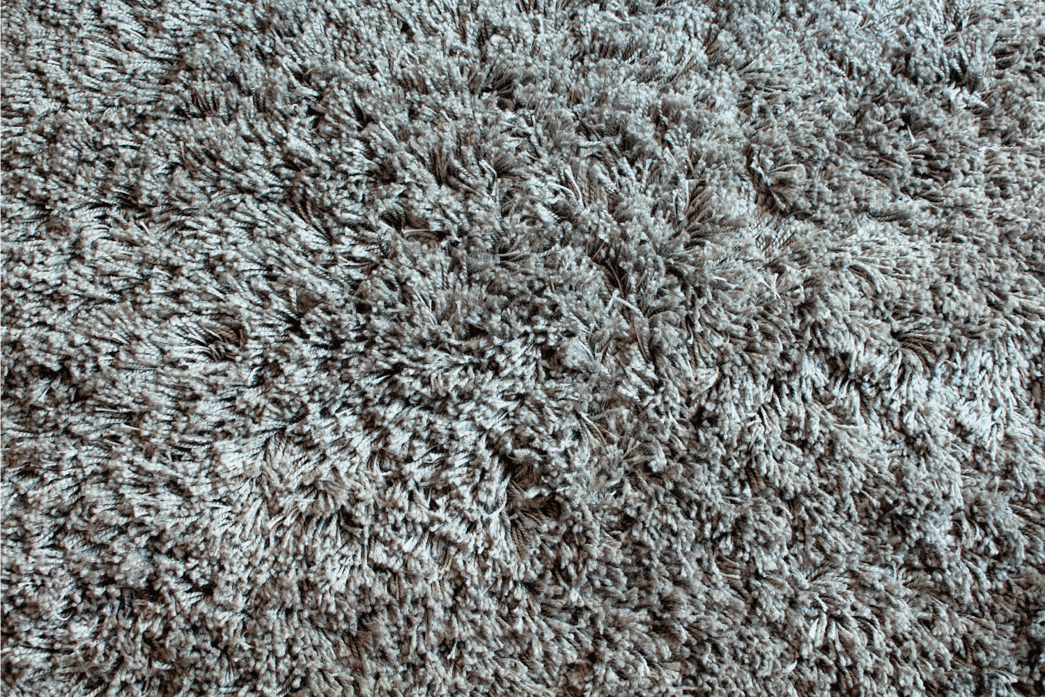 Close up view of wool, grey rug or carpet background. 12 Most Plush Types of Carpet [By Fiber And Pile]