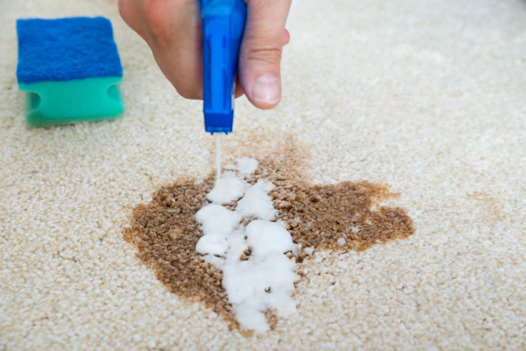 Closeup of man hand cleaning stain on carpet with spray bottle