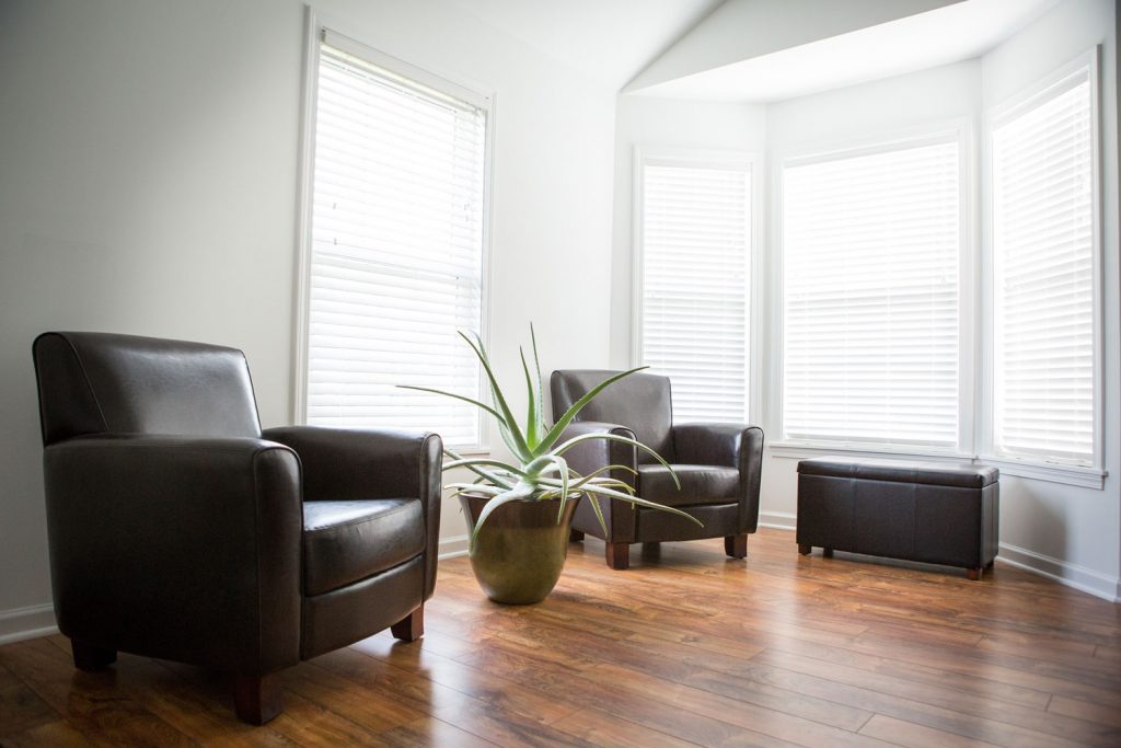 Interior room with wood laminate flooring, a large aloe plant and chair