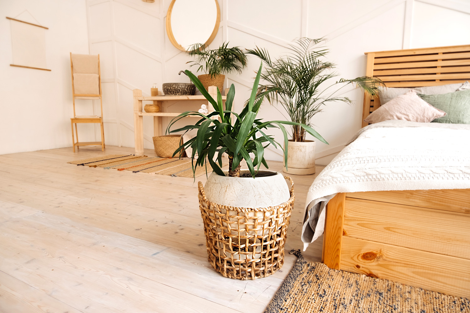 green plant in beige wicker recycled eco basket on bright interior room with cozy bed. Stylish, minimalistic interior of Scandi. Growing and caring plants at home