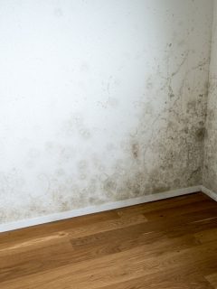 Molds and vandals that cause damage on your wall cause to ghosting, How To Get Rid Of Ghosting On Walls