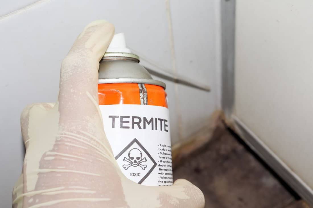 Spray chemicals to kill termites in the wall holes, kill termites inside the house