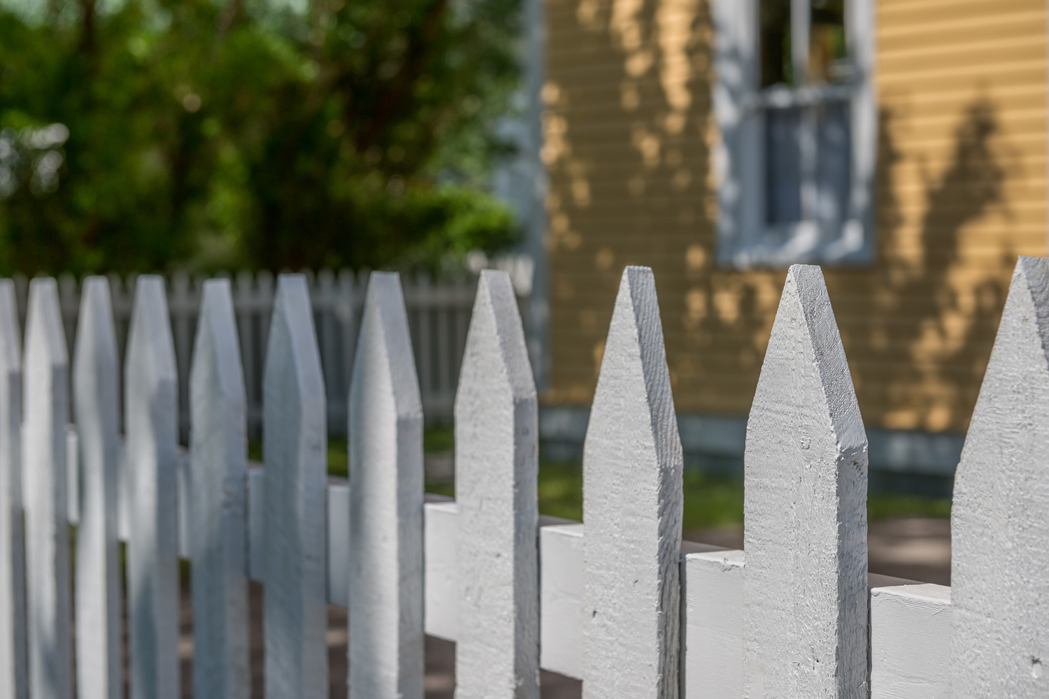 A white picket fence with a horizontal wooden rail. There's a yellow clapboard house with a white vertical window in the background.