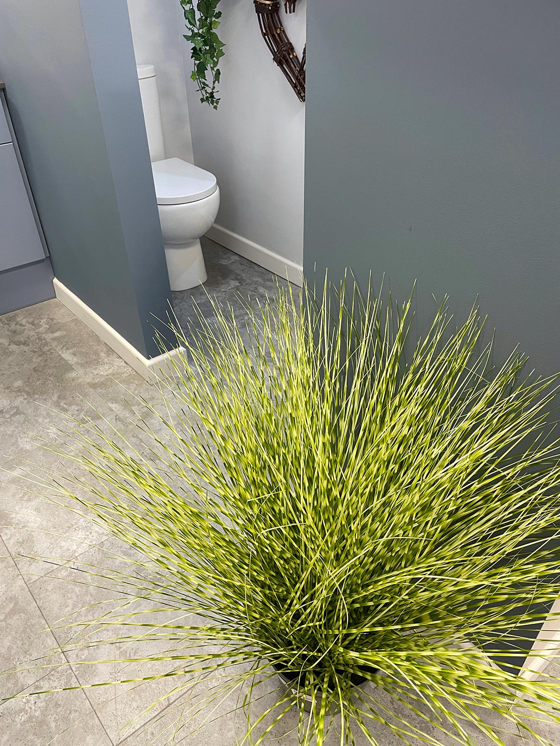 Artificial potted grass plant, grey wall, modern cloakroom with white, dual button flush toilet
