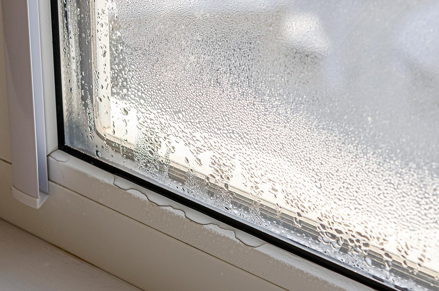 Drops of condensate and black mold on a substandard metal-plastic window