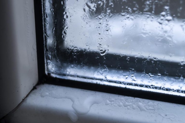 A freezing and the formation of condensation and mold on the new plastic window, Window Leaks From Top When It Rains - What To Do?