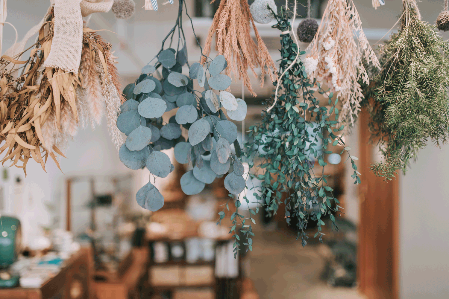 Interior of cozy café coffee shop small business with dried plant hanging