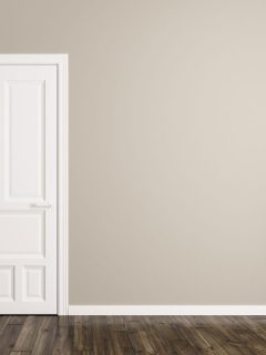 Interior wood white door in with white vase in ground, How To Paint A Wooden Door [Inc. In White]
